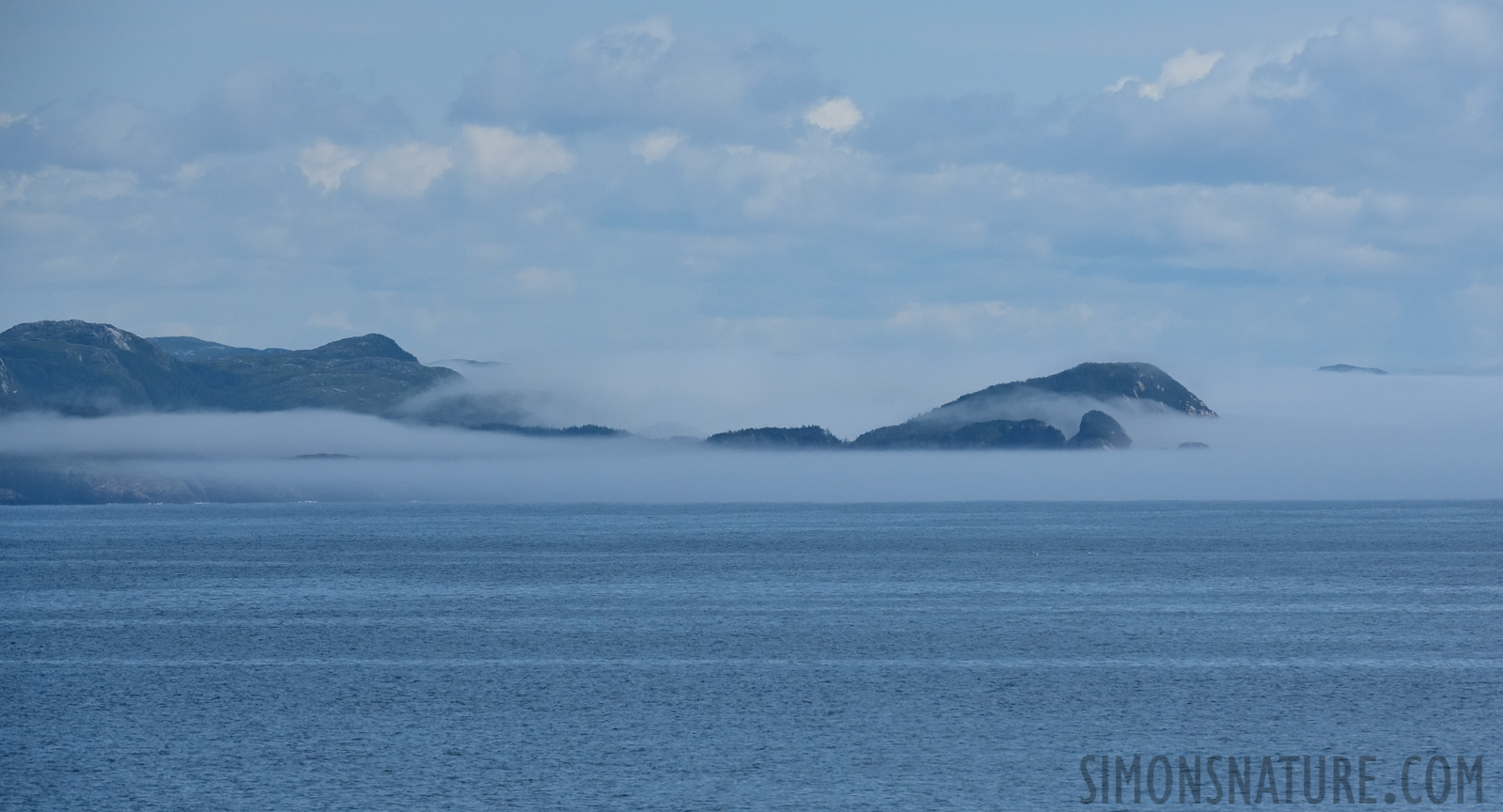 [260 mm, 1/8000 sec at f / 8.0, ISO 1600]